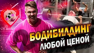 САМЫЙ ПОПУЛЯРНЫЙ ЗАЛ В МИРЕ / НАПОЛЕОН ПЕРЕД НОГАМИ / РУТИНА СИГМ