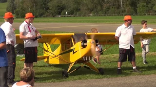 Gigantic RC Piper and Super Decathlon BIG RC Planes Hausen 2016 Flight Show