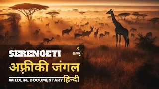 Serengeti Jungle, Africa - हिन्दी डॉक्यूमेंट्री | Wild animals documentary in Hindi