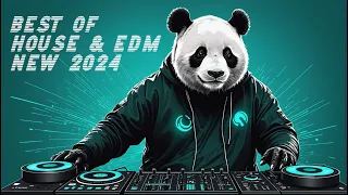 Best House / Dance / EDM Playlist 🔥 Party Music Mix 🔥 Top May 2024