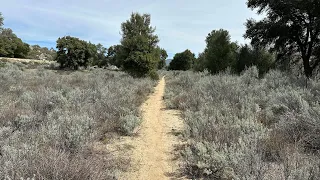 PCT day 3 Fred’s miles 20 to 32