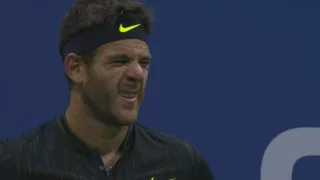 DelPotro crying vs Wawrinka