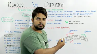 Osmosis Vs Diffusion | Concept Of Passive transport |