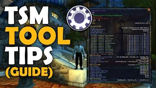 What Do The TSM Tooltips Mean? | TSM Addon World of Warcraft Tooltips Guide