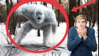 TOP 10 REAL BIGFOOT CAUGHT ON CAMERA