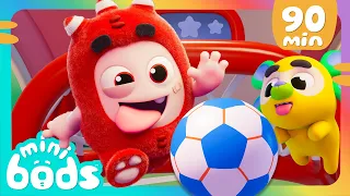 Fuse Plays Soccer with a Goal-den Retriever! ⚽| 🌈 Minibods 🌈 | Preschool Cartoons for Toddlers