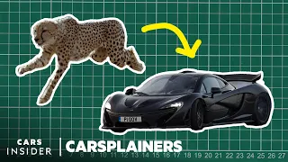 How Nature Inspired The Design Of The McLaren P1 And Mini Cooper | Carsplainers