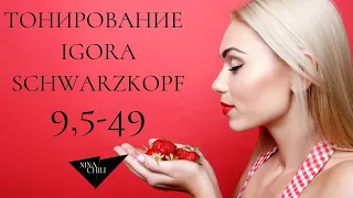 Тонирование бежевый холодный блонд с розовинкой 9,5-49 Igora Schwarzkopf от Nina Chili