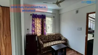 1bhk for rent in whitefield |fully furnished | lake view