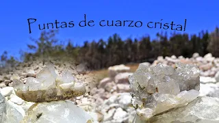 Extracción de PUNTAS DE CUARZO CRISTAL, conocidas también como cuarzos maestros.