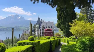 🇨🇭 4K Relaxing Walk Meggenhorn, Switzerland. Sunny Walking Tour ☀️ 2023