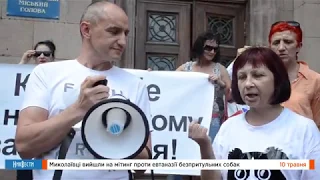 НикВести: В Николаеве прошел митинг против эвтаназии бездомных животных