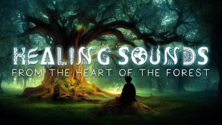 Healing Sounds from the Heart of the Forest - 15 Minute Music Meditation