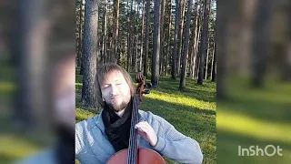 The Lion King - Circle of life.  Музыка Элтона  Джона. #Глазырин#ПавелCello #король#лев#круг#жизнь