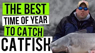 The Best Time To Catch Catfish : A Seasonal Guide To Catfishing