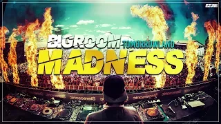 MADNESS 🎉 Tomorrowland Warm Up | Big Room Festival Mix | EZUMI