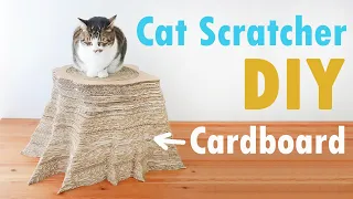 DIY Cardboard Cat Scratcher  Tree Stump-shaped
