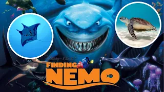Learn Animals with 'Finding Nemo' | 01 | Wildlife Adventure | Storyline