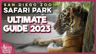 San Diego Zoo Safari Park 2023 | EVERYTHING You Need to Know