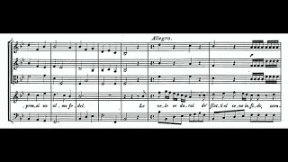 M'ai resa infelice (Deidamia - G.F. Händel) Score Animation