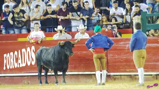 ✅2018 VALENCIA 19 ◾ II Encuentro de Tauromaquias FORCADOS