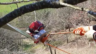 PCW3000 Portable Forestry Winch With Choker Chain