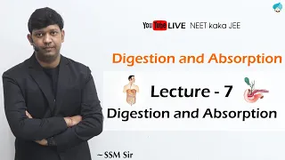 Lecture-7 Digestion and Absorption Part -2 | #NEET | #KVPY