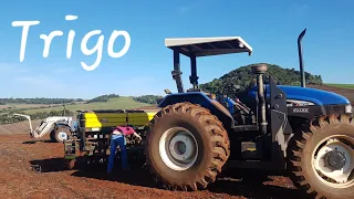 Farming vida Real | Finalizando o Plantio do Trigo no Paraná.