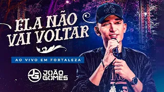 ELA NÃO VAI VOLTAR - João Gomes (Letra/Lyrics)