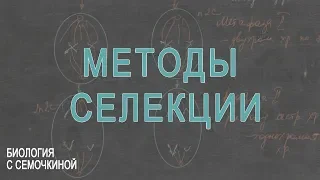 Методы селекции растений и животных