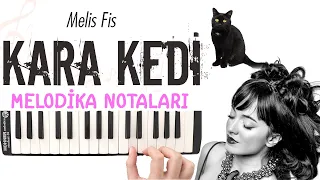 KARA KEDİ Melodika Notaları - Melis Fis / Serdar Ortaç