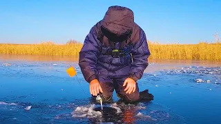 Рыбалка по первому льду! Жерлицы не давали скучать! Рыбалка на жерлицы.