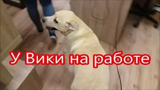 К Вике на работу