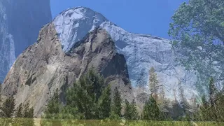Yosemite | Felt - Evergreen Dazed (Remastered)