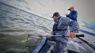 A Bunch of Giant Alabama Small Mouth Bass - Mega Bag