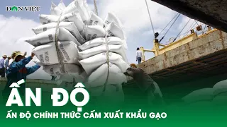 Ấn Độ chính thức cấm xuất khẩu gạo trắng | Báo điện tử Dân Việt