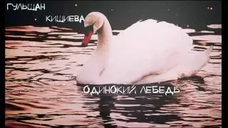 Гульшан Кишиева - Одинокий лебедь (Acoustic)