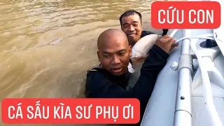 Lần Này Thánh Liệu Tới Công Chuyện Nữa Rồi !