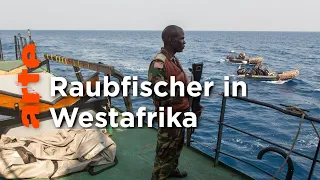 Senegal: Jagd auf die Plünderer der Meere | ARTE Reportage Reupload