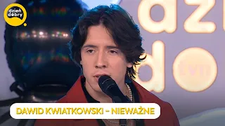 DAWID KWIATKOWSKI - NIEWAŻNE | Dzień Dobry TVN