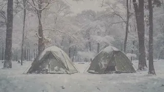 Snowstorm & Whistling Winds | Relaxing Haven for Stress Relief