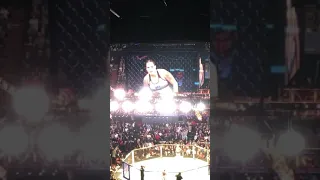 UFC 232 Amanda Nunes vs Chris cyborg full fight live