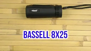 Распаковка Bassell 8х25