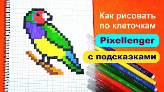 Как рисовать по клеточкам Птичку Гульдову Амадину🦜 Простые рисунки How to Draw Bird Pixel Art