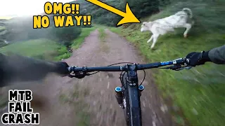 Best MTB Fails Of 2022 #110 | MTB Crashes of 2022 / Mtb classic