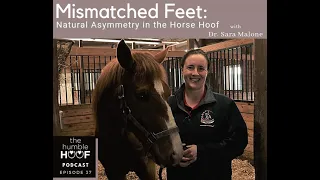 Mismatched Feet: Natural Asymmetry in the Horse Hoof with Dr. Sara Malone