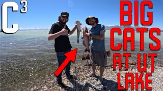 UTAH LAKE CATFISH CATCH AND COOK! (FISH FRY)