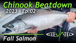 Chinook Beatdown! | Oregon Fall Salmon 2023 | Ep.02