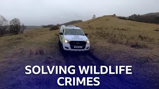 Wildlife Crime | Highland Cops | BBC Scotland