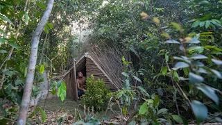 Building a Complete Warm Survival Hut a Man Solo Bushcrafts